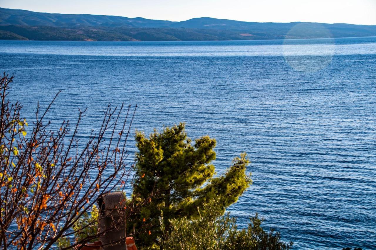Lile By The Sea, Zavode Apartman
