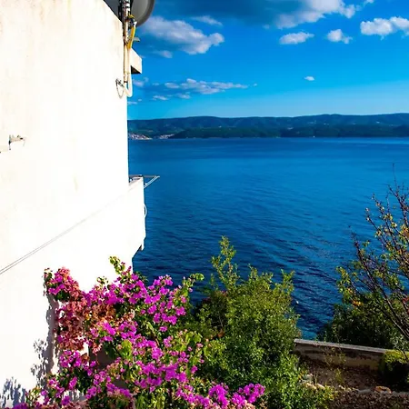 Apartments Lile By The Sea, Celina Zavode Exterior photo