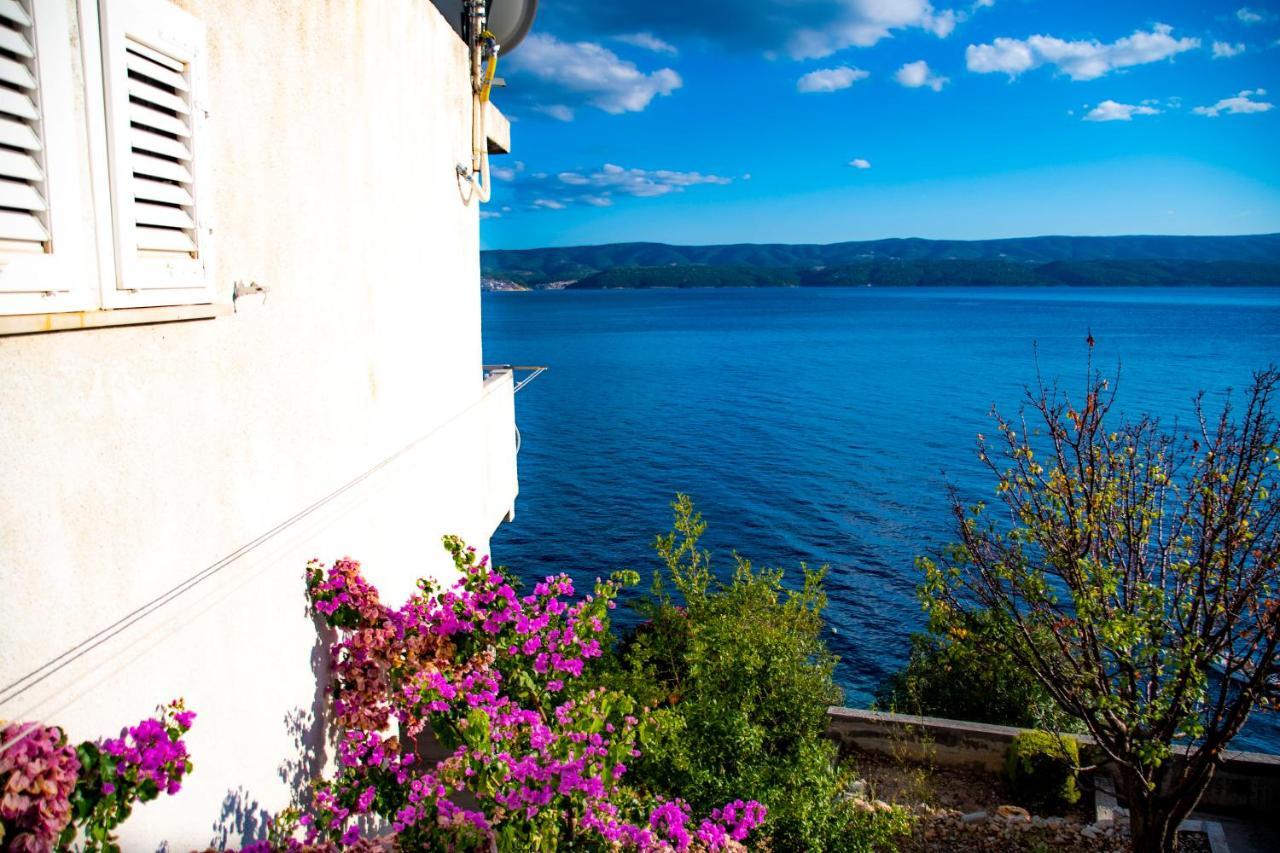 Apartment Lile By The Sea, Zavode