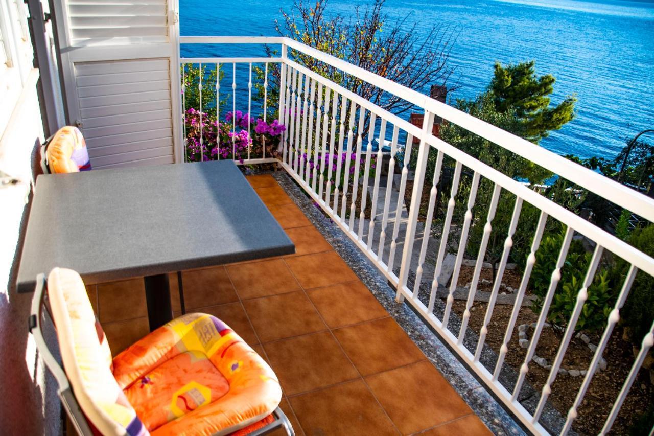 Apartment Lile By The Sea, Zavode Celina