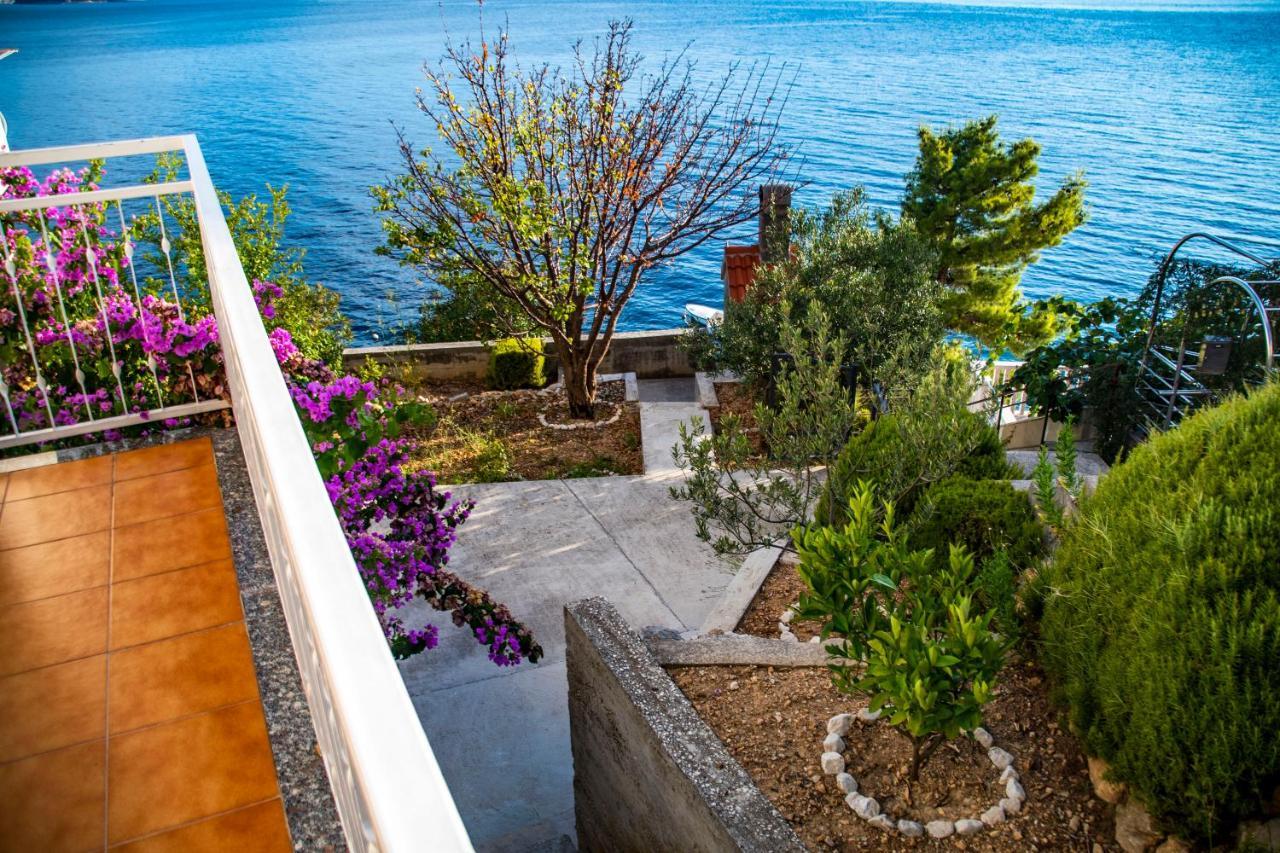 Apartment Lile By The Sea, Zavode